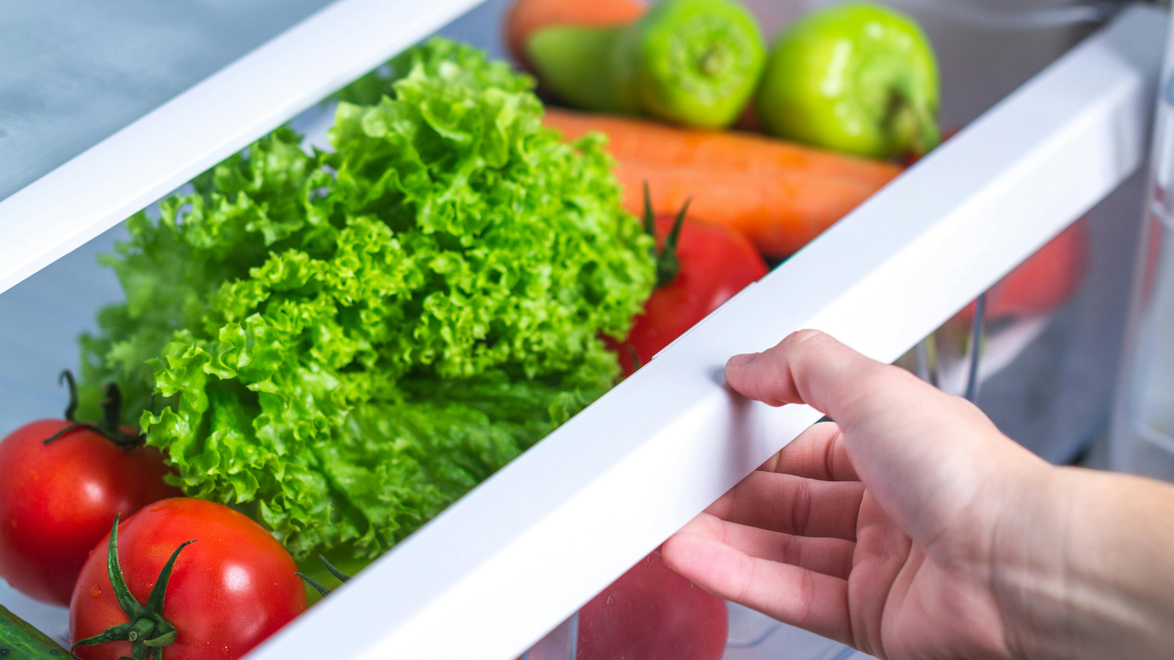 How to Keep Your Fridge Smelling Fresh Naturally (10 Easy Tips!)