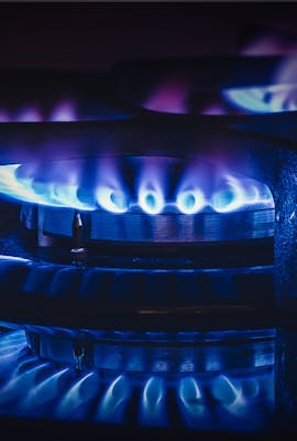 Gas Hobs
